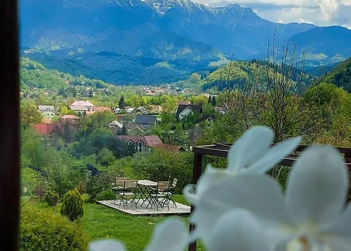 Inspire View - Boutique