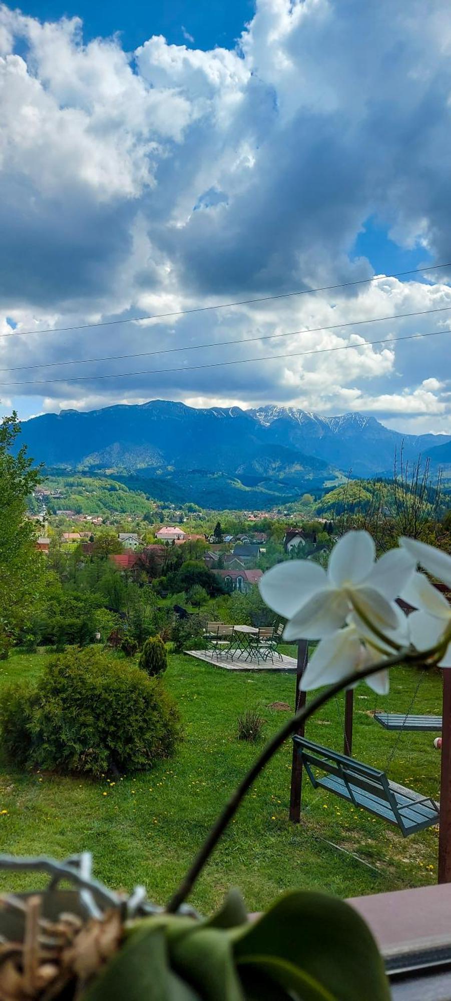 Inspire View